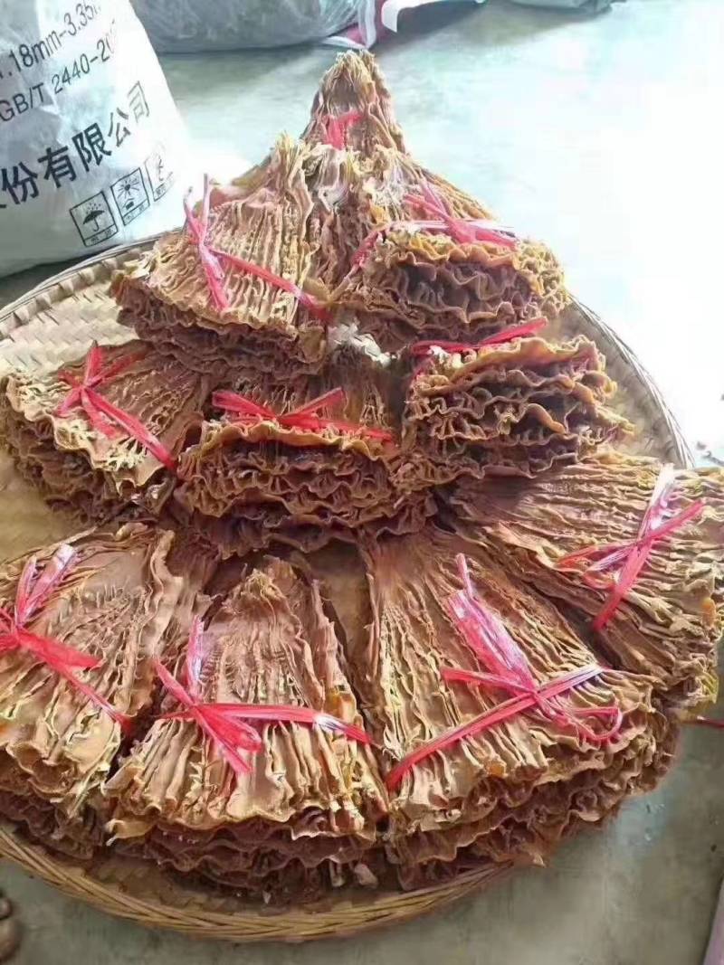 笋片天峨土特产笋片笋尖自加工干笋片