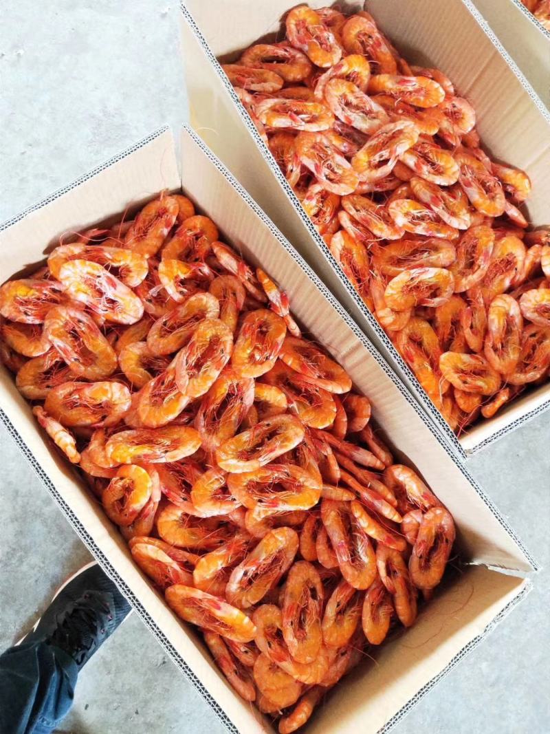 80头对虾干零食即食海虾干湛江特产干虾红虾海虾中虾