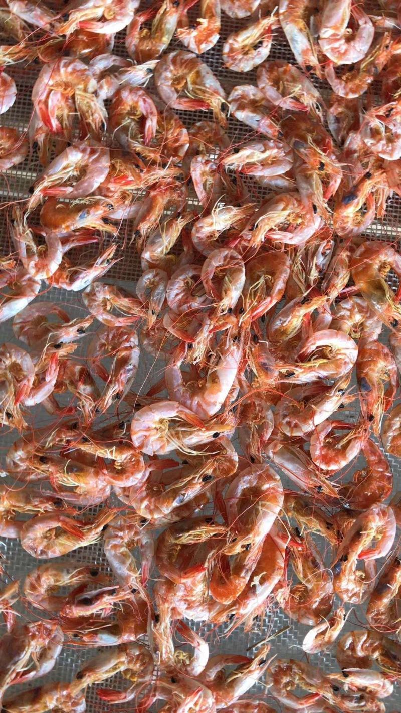 80头对虾干零食即食海虾干湛江特产干虾红虾海虾中虾