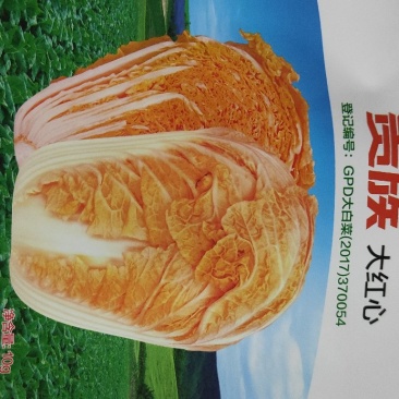 贵族大红心白菜种子生育期65天左右