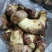 大量野生菌鸡枞菌牛干菌葱菌黑见伞塔菇全国包邮