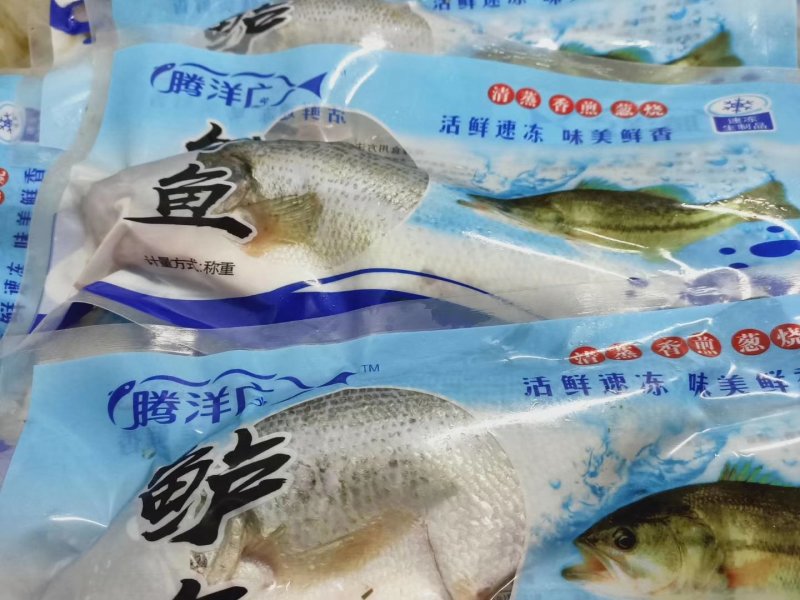 鲈鱼（卢鱼），三去（去鳞、去鳃、去内脏）真空包装开背开肚