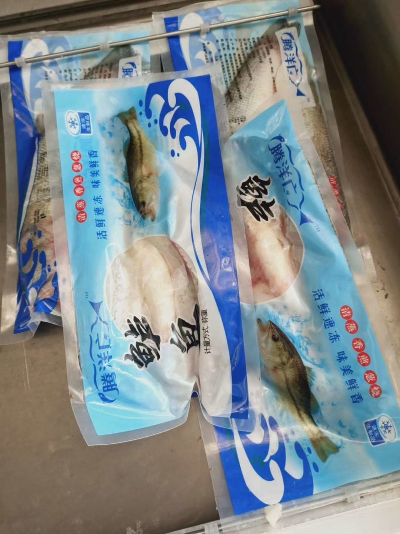 鲈鱼（卢鱼），三去（去鳞、去鳃、去内脏）真空包装开背开肚