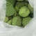 花莲子（草莲子）