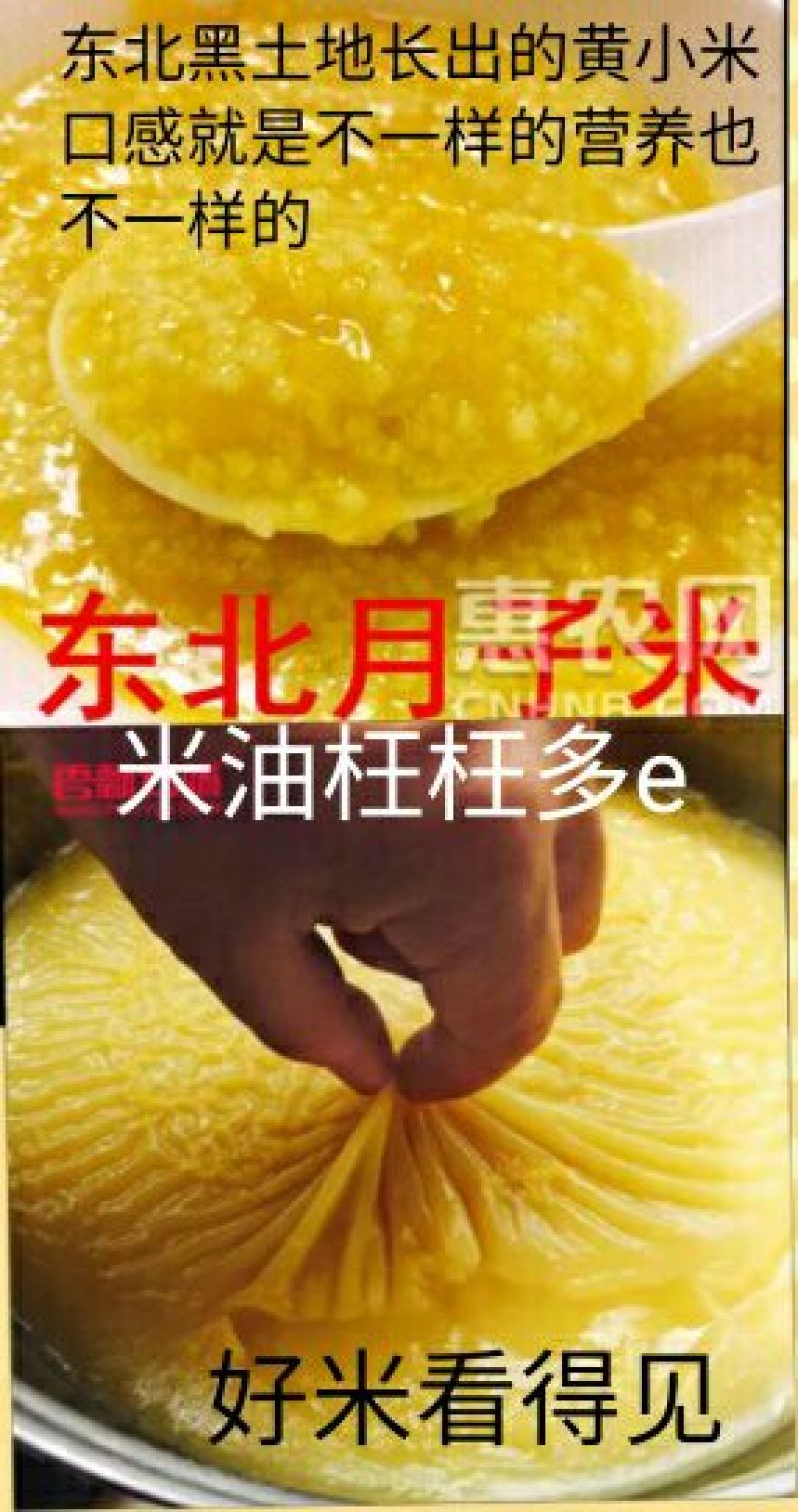 小米五色小米四色小米混合装熬粥养胃小米粥米。包邮5斤装