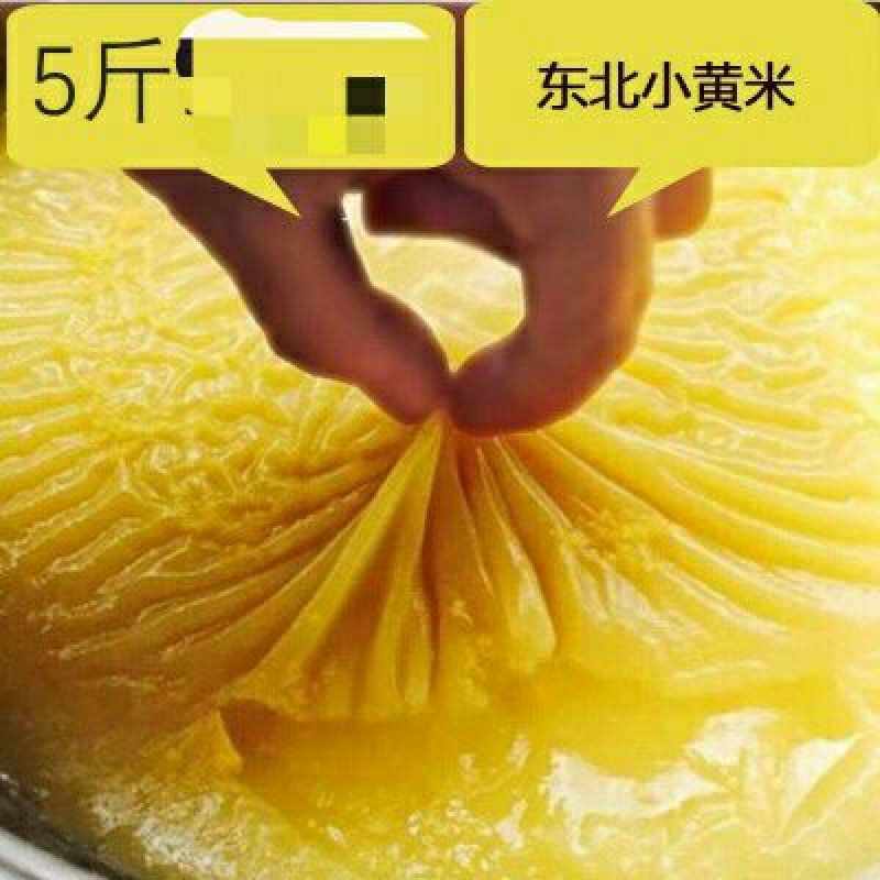 小米五色小米四色小米混合装熬粥养胃小米粥米。包邮5斤装