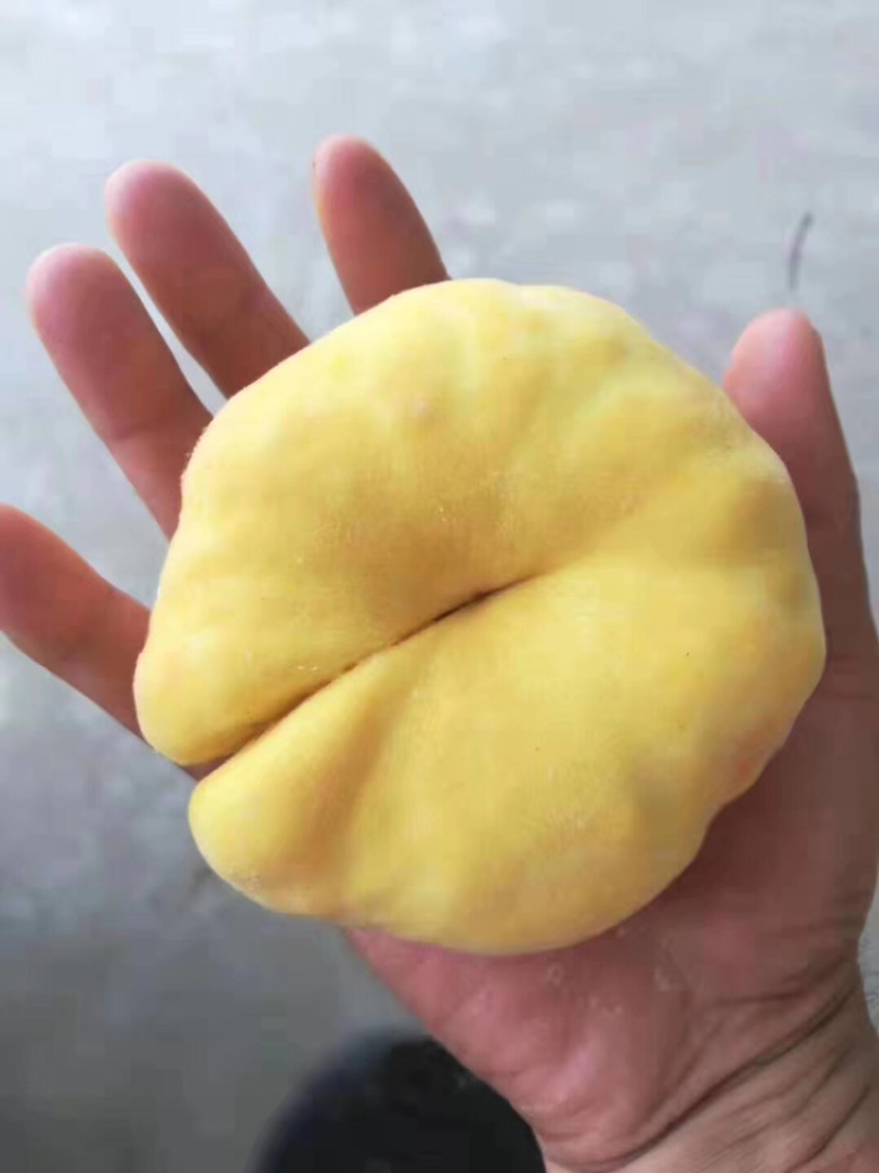 陕西纸袋毛蟠桃102上市，脆甜爽口，对接电商社区团购！