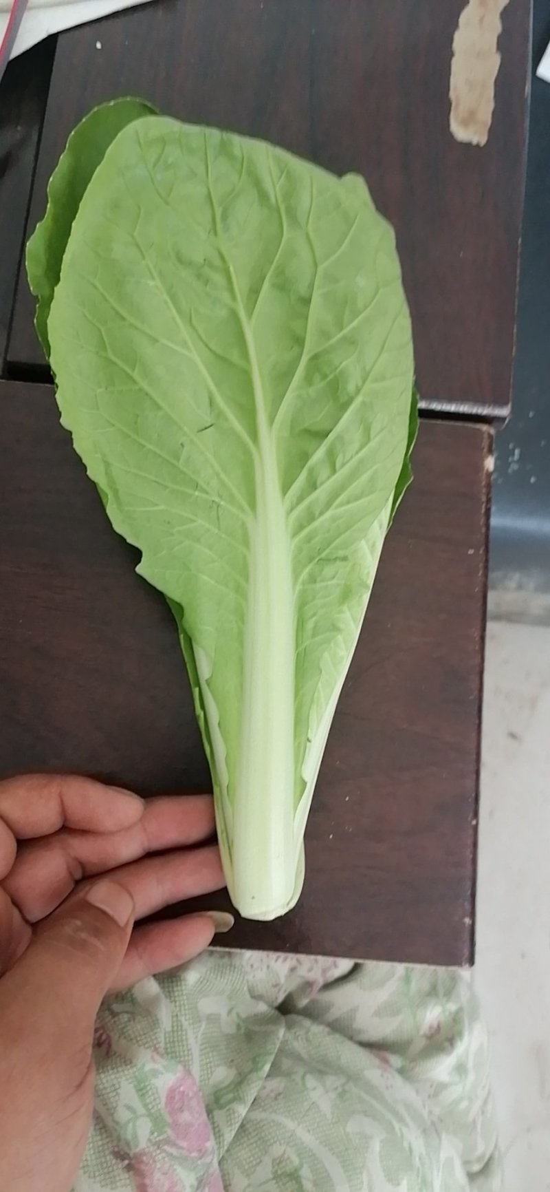 山东曹县蔬菜精品快菜