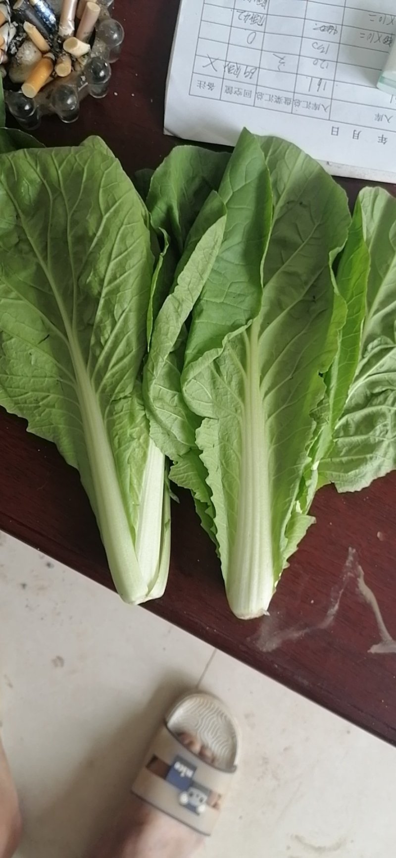 山东曹县蔬菜精品快菜
