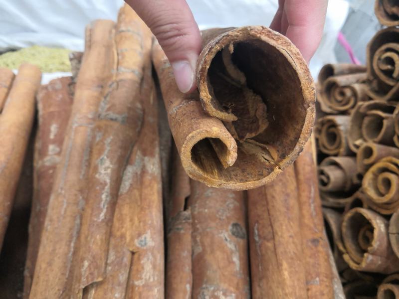 去皮肉桂肉桂丝无硫各种香料卤料调料