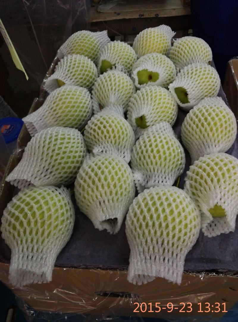 【精品】山东冠县长把梨，山东梨，脆甜多汁货源充足欢迎咨询
