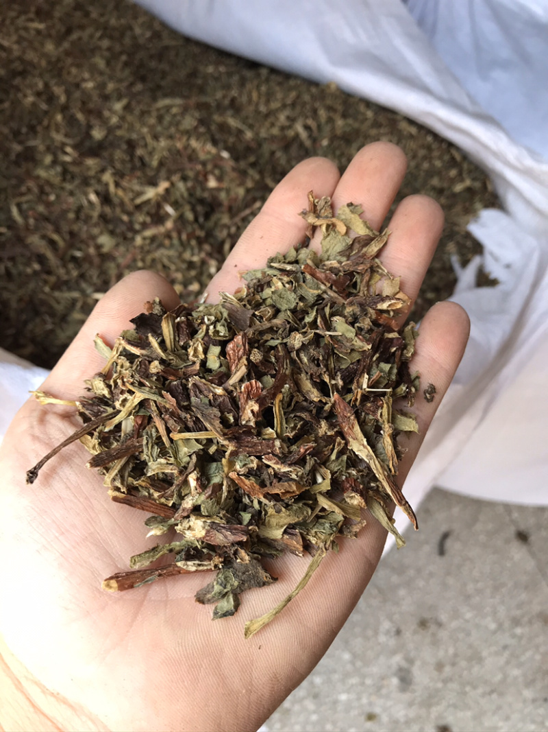 养心菜，费菜，救心草，景天三七。