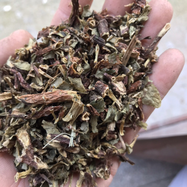 养心菜，费菜，救心草，景天三七。