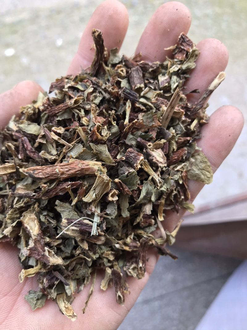 养心菜，费菜，救心草，景天三七。