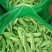 【精品】吉林油豆角大量上市货源充足全国代发〔支持视频