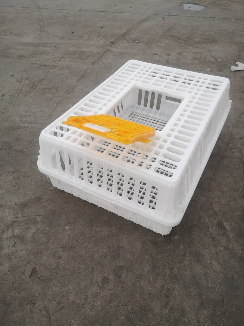 鸡鸭鹅兔禽类熟料运输转运笼周转箱