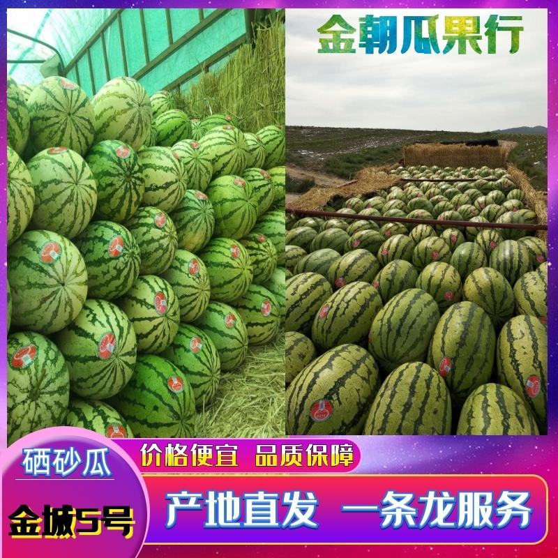宁夏中卫-金城五号硒砂瓜，十斤打底包熟包甜