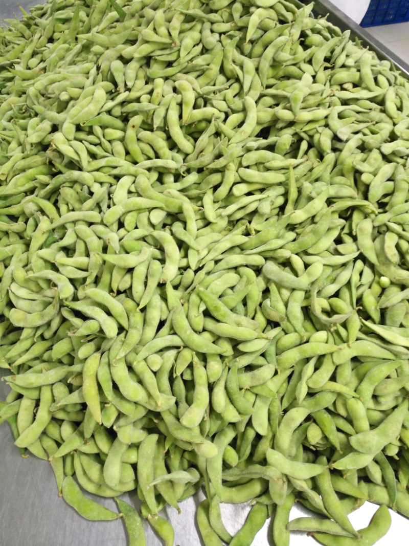 速冻盐水毛豆荚工厂发货批发价一手货源，纯香料卤煮毛豆