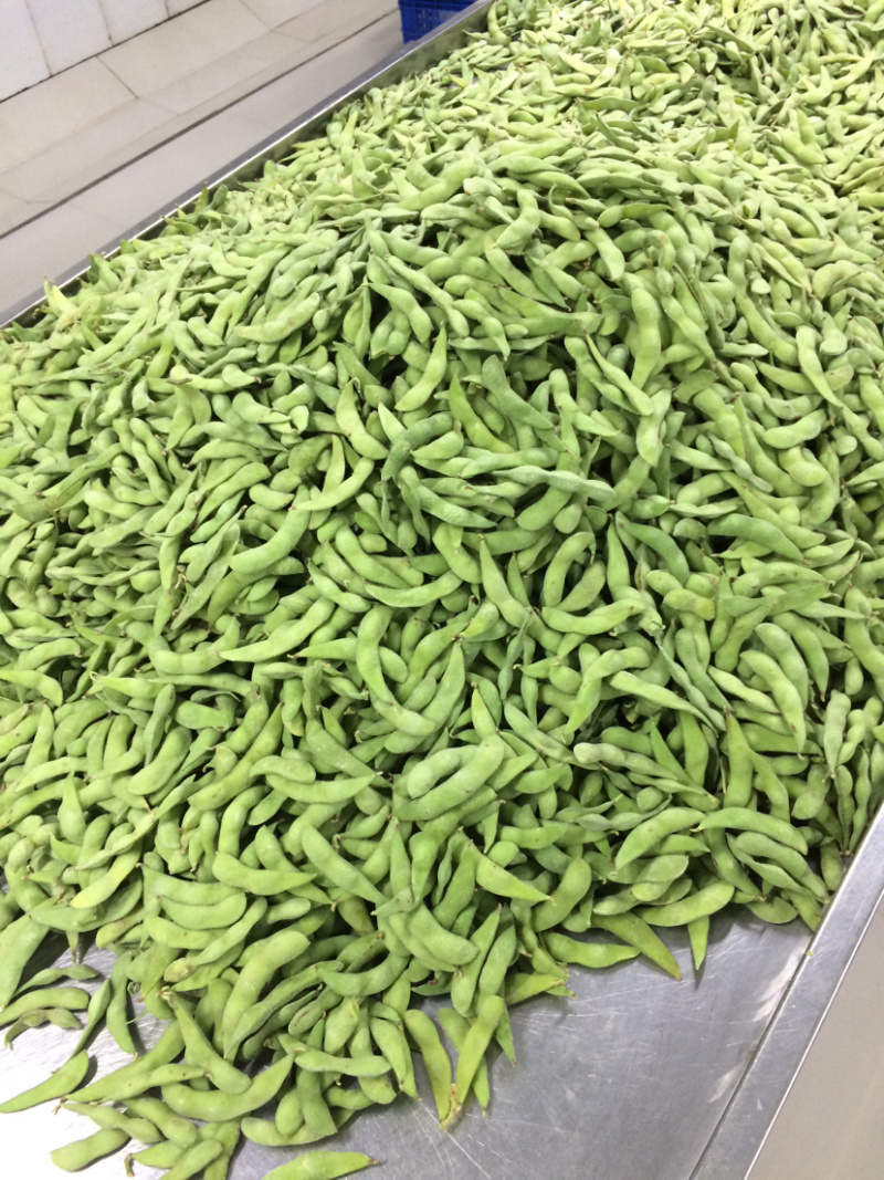 速冻盐水毛豆荚工厂发货批发价一手货源，纯香料卤煮毛豆