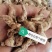 包邮白芨，三叉白芨个子、片子、碎粒等现货供应！