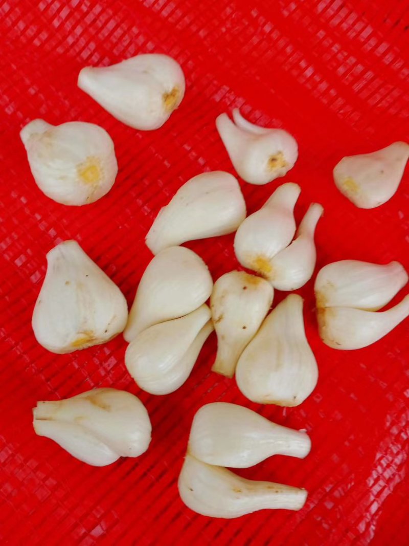 云南红河碑格藠头自产自销，一手货源，按需分捡，全国发货。