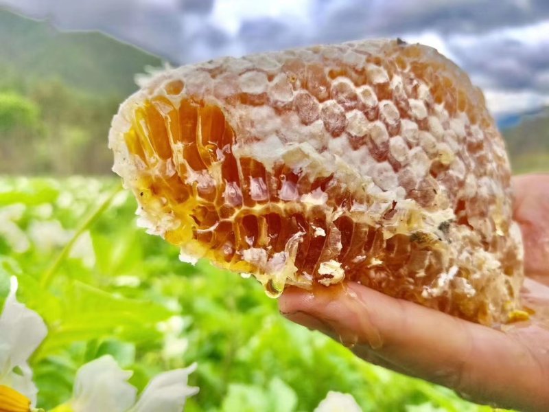 野生蜂蜜