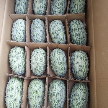 火参果，刺角瓜孕妇无糖水果