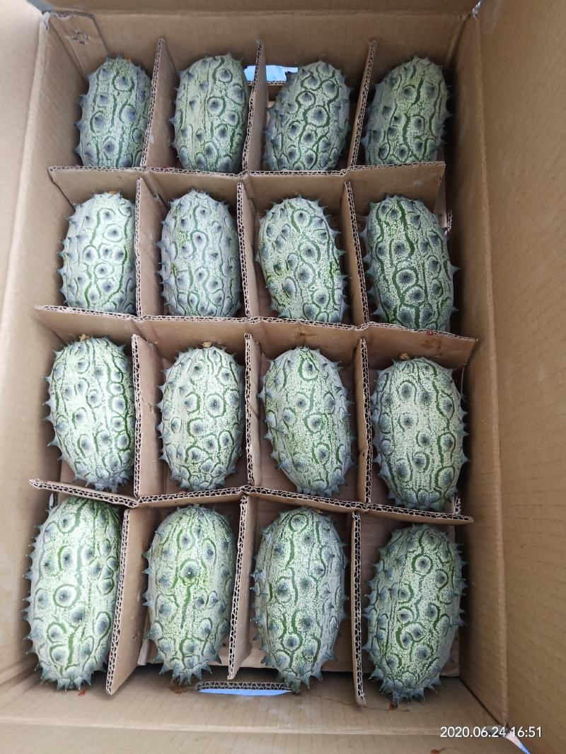 火参果，刺角瓜孕妇无糖水果