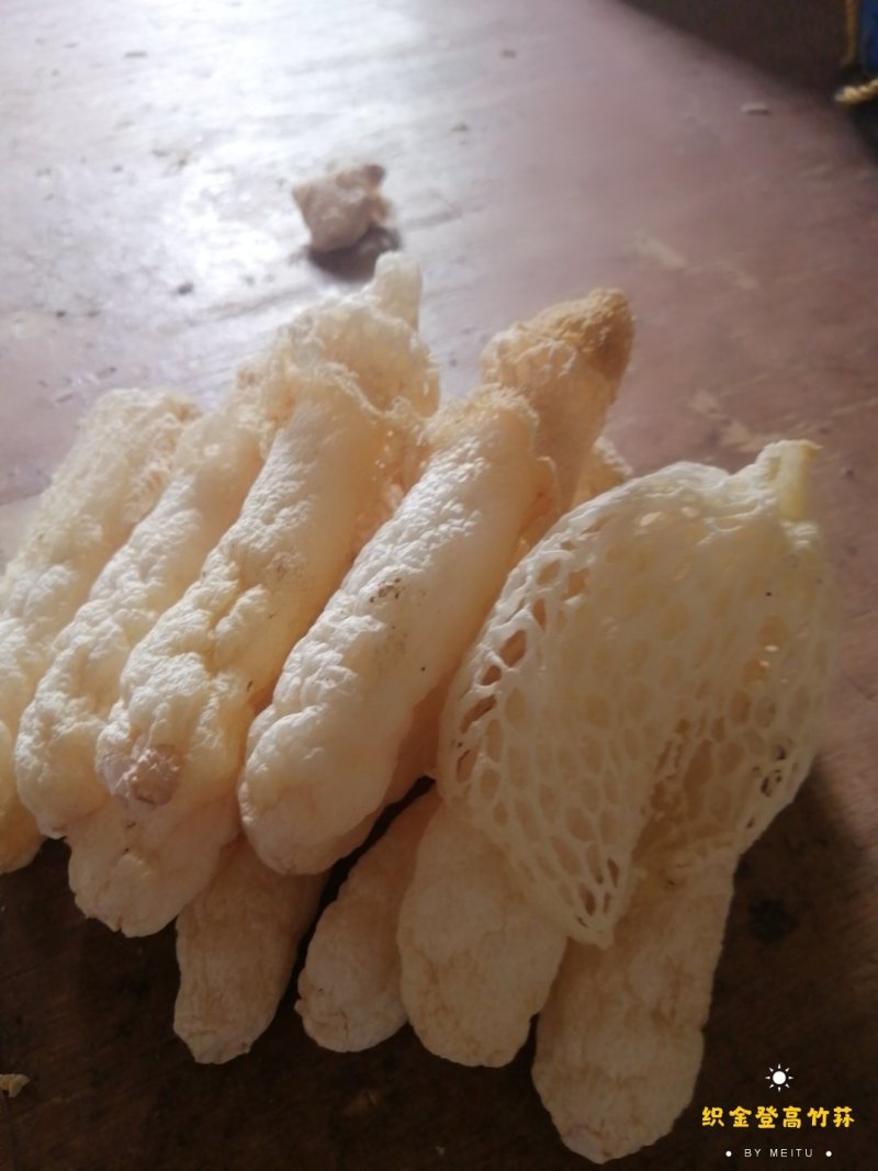 贵州织金竹荪(竹笙）干货，无硫熏！红拖短裙！仿野生种植！