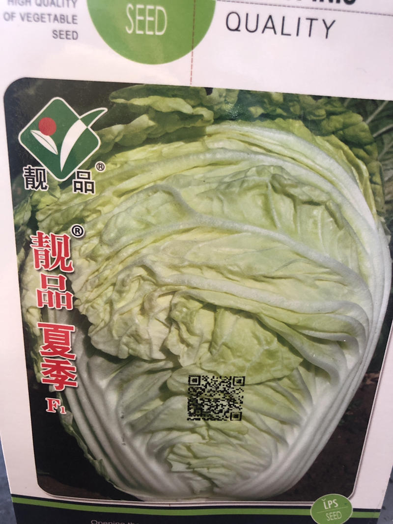 耐热大白菜种子产量高抗热全国发货欢迎进店选购