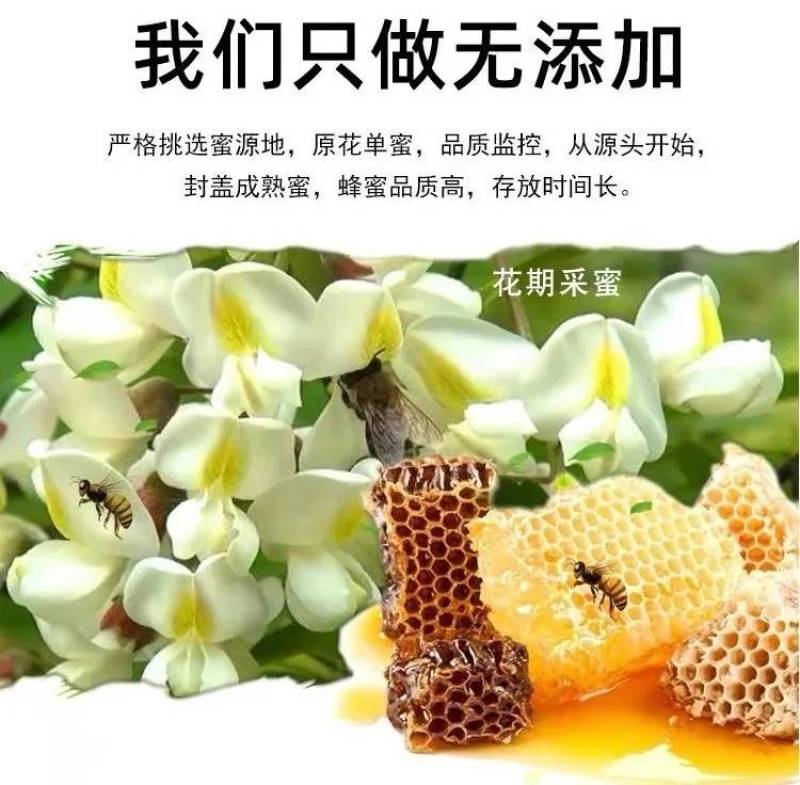 槐花蜂蜜新鲜蜂蜜蜂农自产口味纯正。批发零售支持一件化发