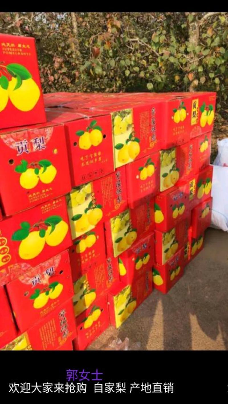酥脆一号，有要的联系我！！一条龙服务！！套袋果上市了，