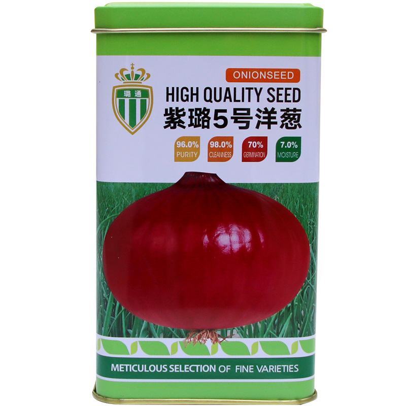 紫璐5号紫璐3号紫皮洋葱种子农田菜园基地蔬菜种子