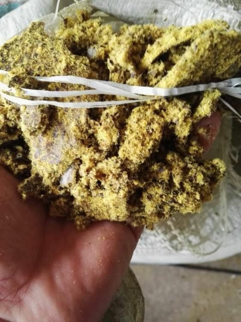 河北厂家供应棉饼，棉子饼优质新疆棉饼脂肪高，优质好货！