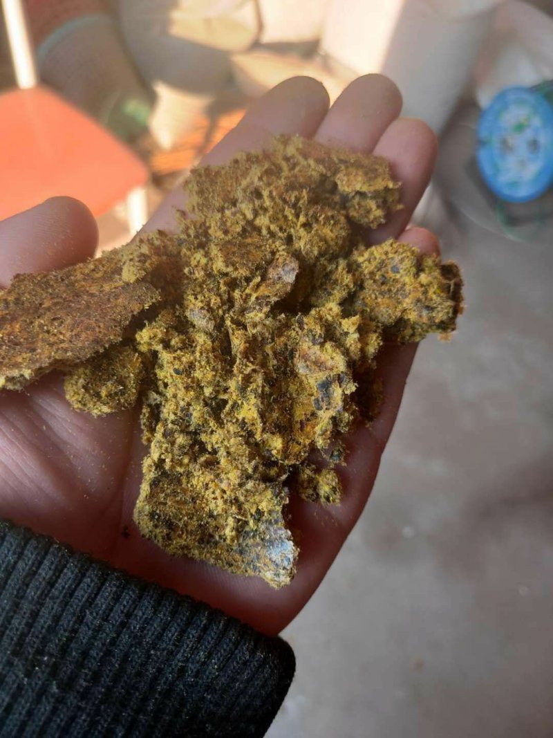 河北厂家供应棉饼，棉子饼优质新疆棉饼脂肪高，优质好货！