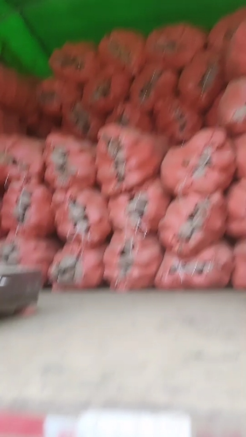 需要土豆，朋友赶紧联系我时间不等人