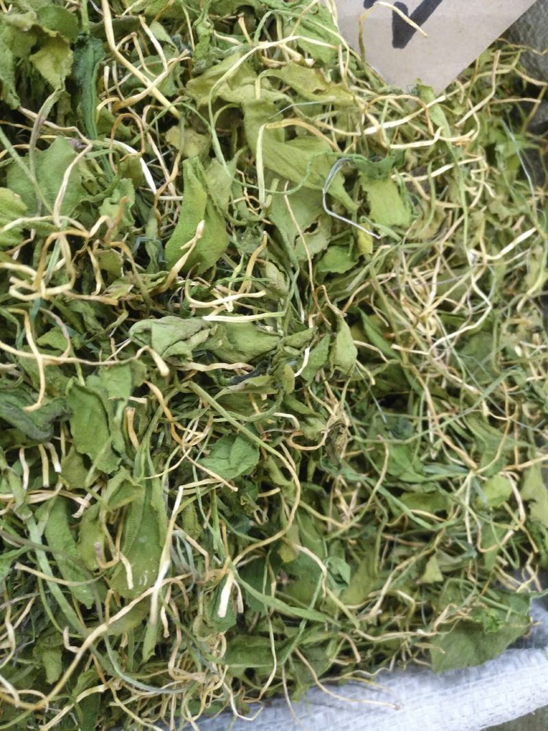 一支箭，今年新货干货有了
