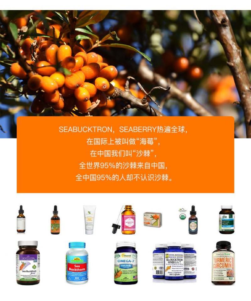 新疆棘品沙棘全果冻干粉富含维生素库存丰富可接团购