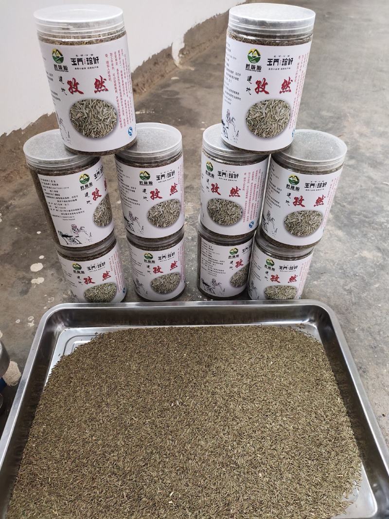 孜然原产地甘肃特优级孜然全国发货玉门花海孜然颜色绿