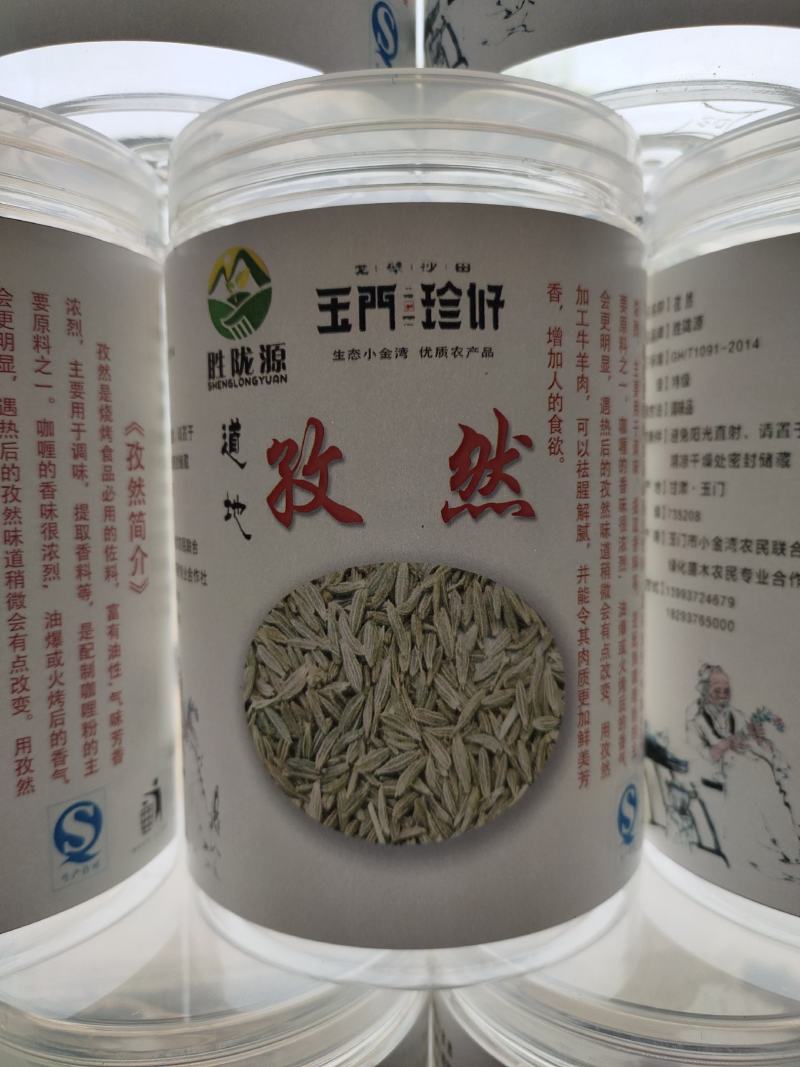孜然原产地甘肃特优级孜然全国发货玉门花海孜然颜色绿