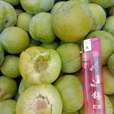 李子，农户李子，无农药，无化肥