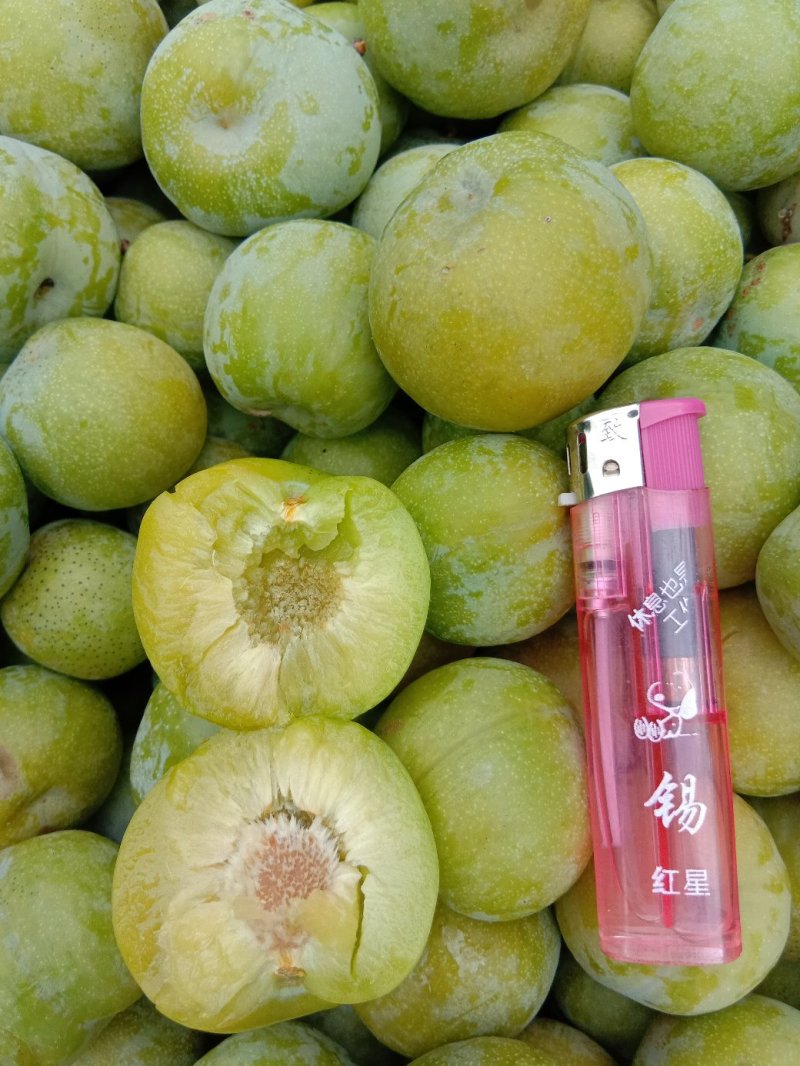 李子，农户李子，无农药，无化肥
