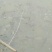 新口花鲢苗上市。量大质优。精品