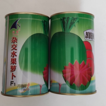 杂交水果萝卜种子生食特甜