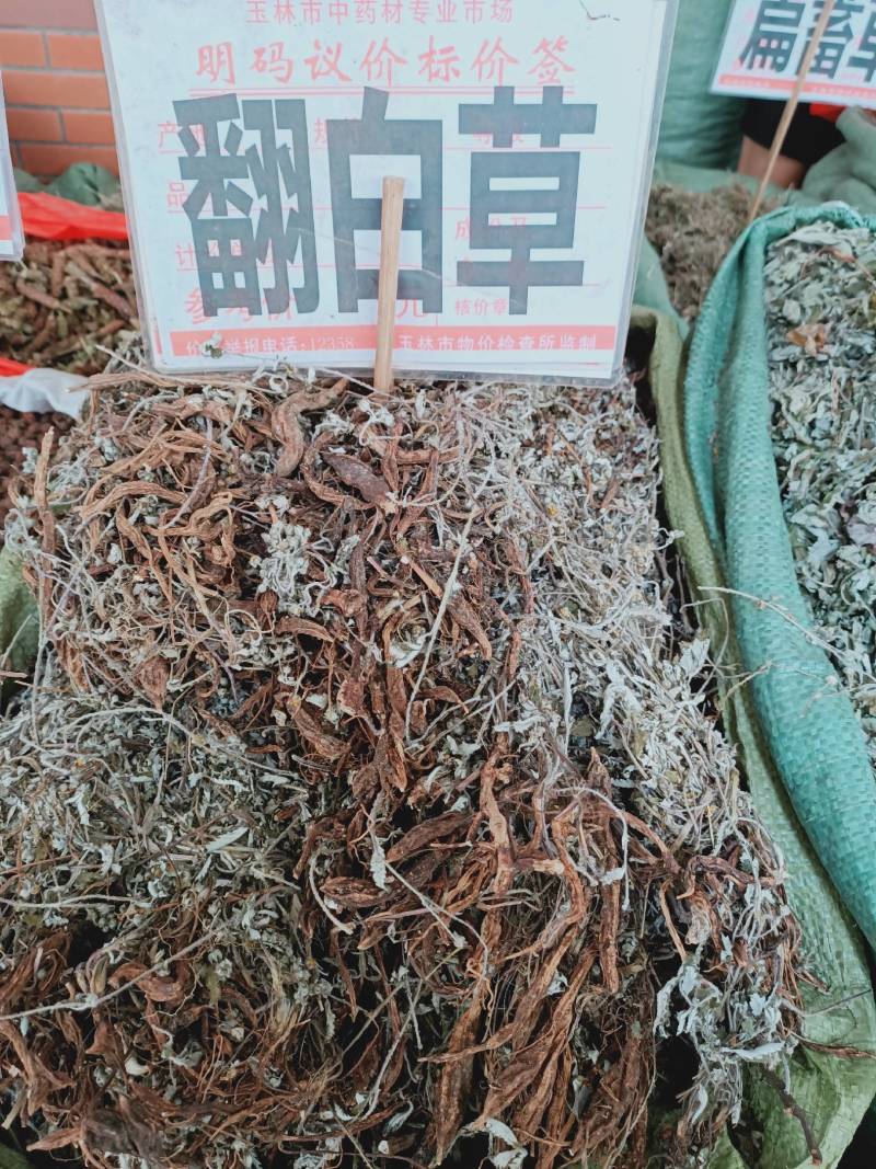 2020新货纯野生翻白草整颗带根正品晒干中药材