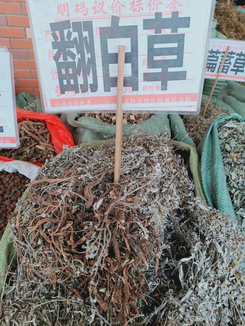 2020新货纯野生翻白草整颗带根正品晒干中药材