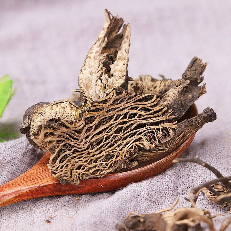 供应升麻升麻片无杂质升麻品质保证量大从优包邮到