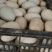 精纹鸭蛋大鸭蛋裂纹鸭蛋
