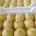 沂蒙山蜜桃白桃大量上市货源充足来电价格更优惠