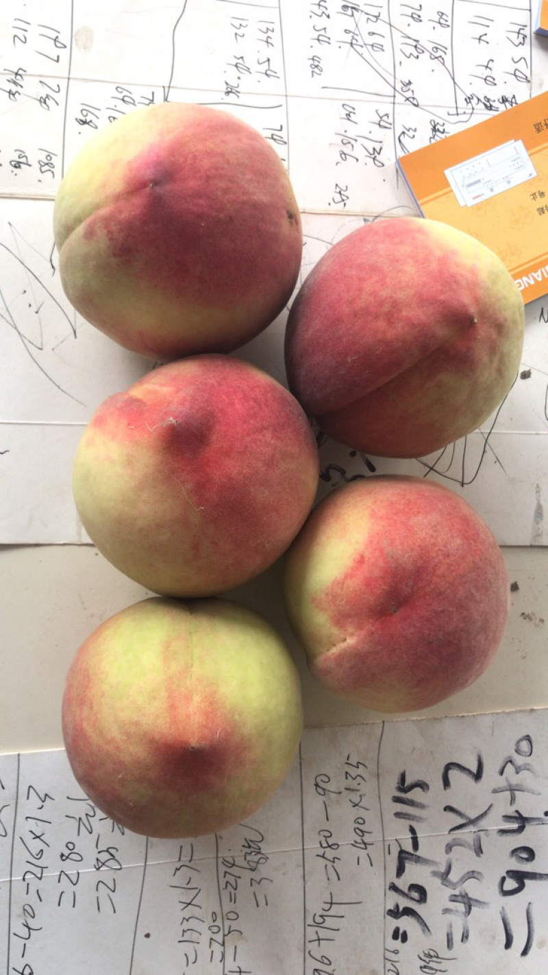 大量精品77_8上市
